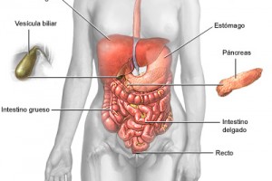 Cirugía Laparoscópica de apéndice (apendicectomia) y tubo digestivo